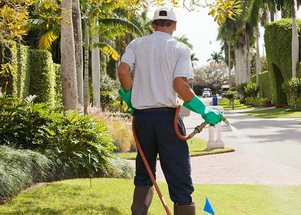About Mount Sinai NY Pest Control Pros